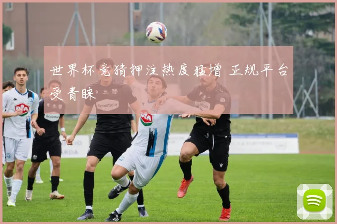世界杯竞猜押注热度猛增 正规平台受青睐
