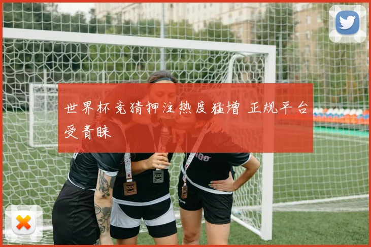 世界杯竞猜押注热度猛增 正规平台受青睐