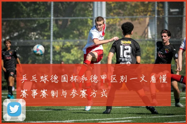 乒乓球德国杯和德甲区别一文看懂赛事赛制与参赛方式